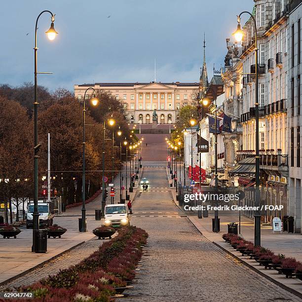 royal palace in oslo - königliches schloss stock-fotos und bilder