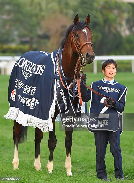 Maurice of Japan after winning Race 8 the Longines Hong Kong Cup during Hong Kong International Racing at Sha Tin Racecourse on December 11, 2016 in...