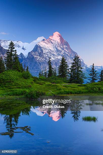 Eiger and M_nch in the Bernese Oberland, Switzerland.