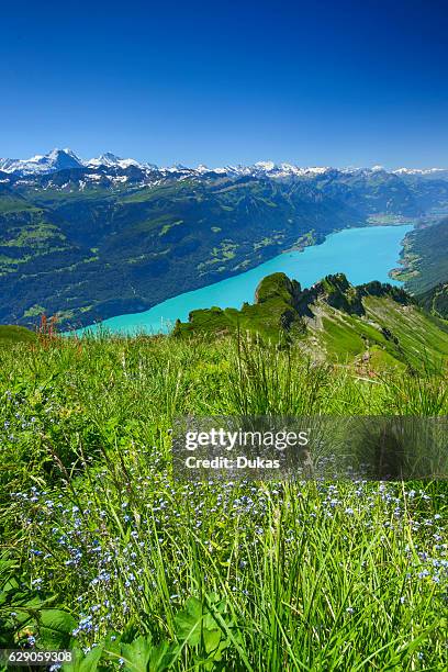 Brienzer Rothorn mountain, Bernese Oberland, Switzerland, .