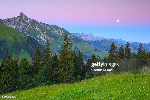 On the Gurnigel pass, canton of Berne, Switzerland.