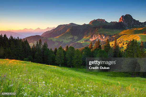 Chrumfadeflue mountain, - 2079 ms, NÙnenen - 2101 ms, canton of Berne, Switzerland.