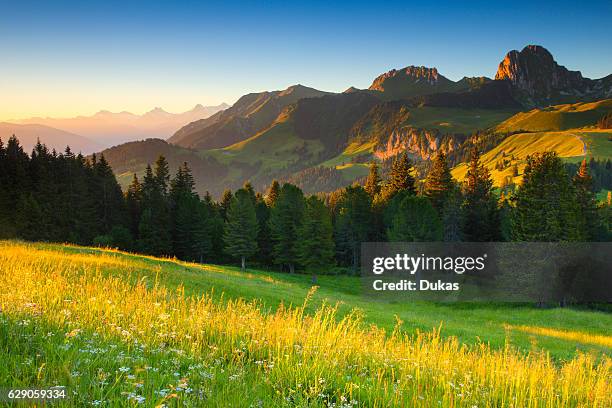 Chrumfadeflue mountain, - 2079 ms, NÙnenen - 2101 ms, canton of Berne, Switzerland.