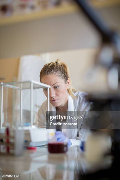 female chemist using scales in lab - laboratory scale stock pictures, royalty-free photos & images