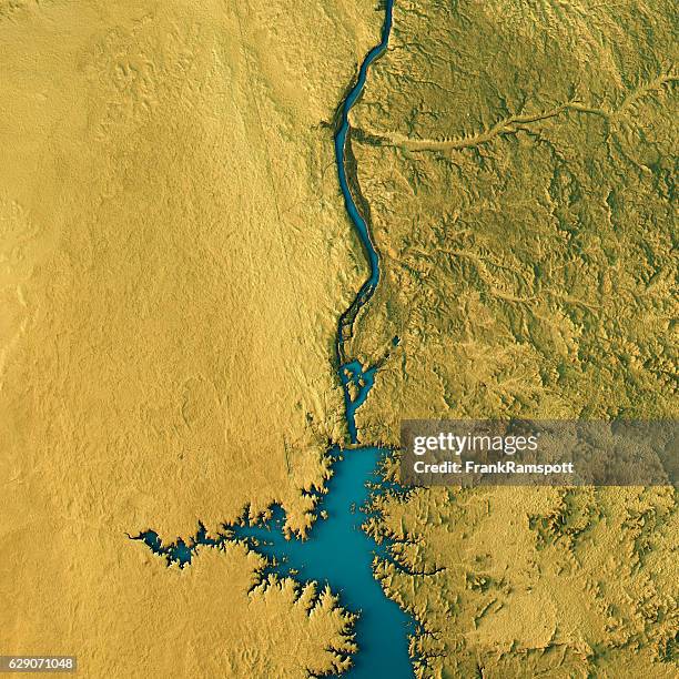 aswan dam topographic map natural color top view - norte africano imagens e fotografias de stock