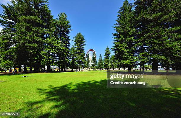 beauty peaceful public garden - fremantle foto e immagini stock