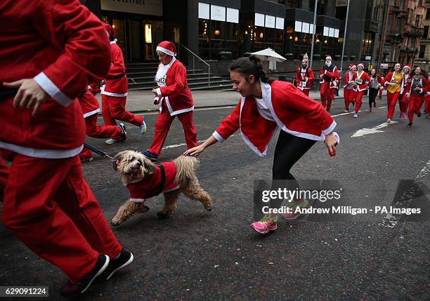 Dog joins thousands of runners in Santa costumes taking part in the Glasgow Santa Dash to raise funds for the Beatson Cancer Charity.