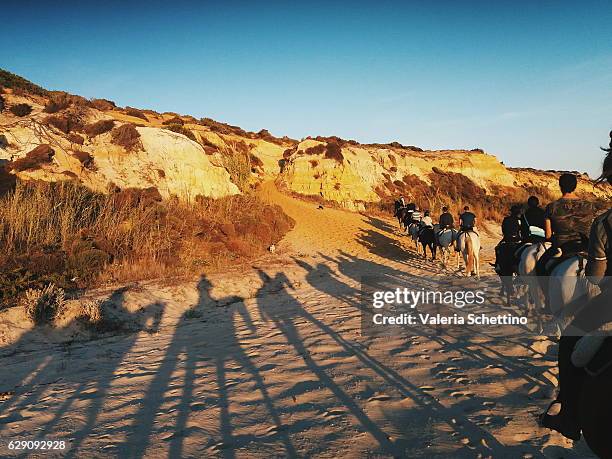 horse trekking at donana park, andalucia - nationaal park donana stockfoto's en -beelden