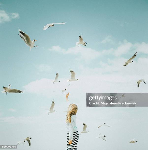 little girl and seagulls - conceptualrealismtrend stock-fotos und bilder