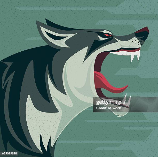 wütende wolf tiergebrüll - canine stock-grafiken, -clipart, -cartoons und -symbole