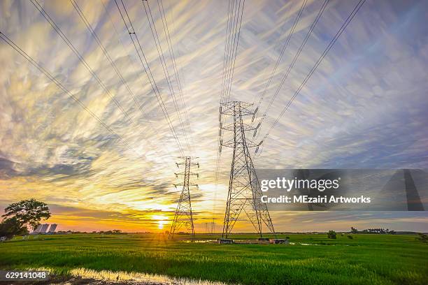 sunset over transmission tower pylone - electrical grid imagens e fotografias de stock