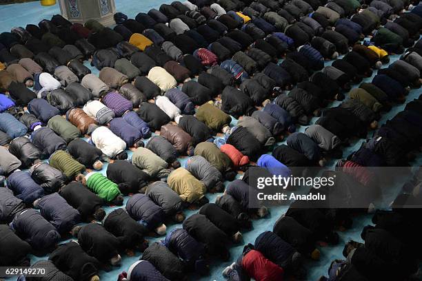 Malid 106 Mass Mawlid Stock Photos, High-Res Pictures, and Images - Getty Images