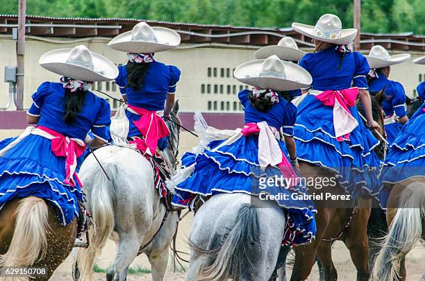 escaramuzas demonstrating their equestrian skills - san antonio - fotografias e filmes do acervo