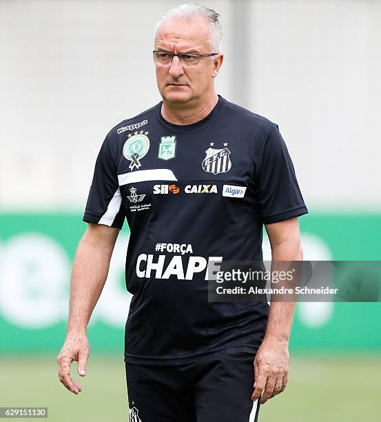 Head coach Dorival Junior of Santos enters the field before the match between Santos and America MG for the Brazilian Series A 2016 at Vila Belmiro...