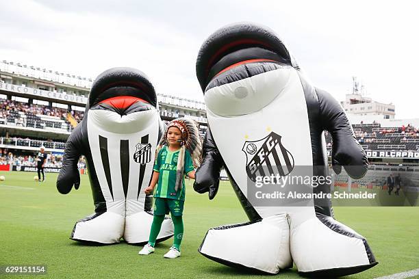 The mascot of Chapecoense enter the field with the mascots of Santos before the match between Santos and America MG for the Brazilian Series A 2016...