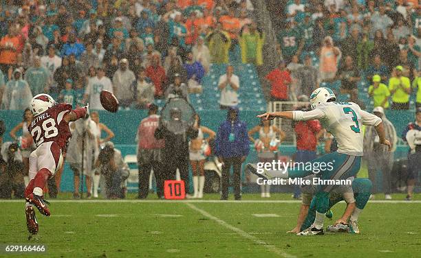 Andrew Franks of the Miami Dolphins celebrates a game winning field goal during a game against the Arizona Cardinals at Hard Rock Stadium on December...