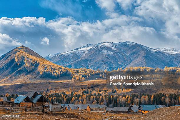 kanas hemu villiage at sunset, xinjiang, china - xinjiang province stock pictures, royalty-free photos & images
