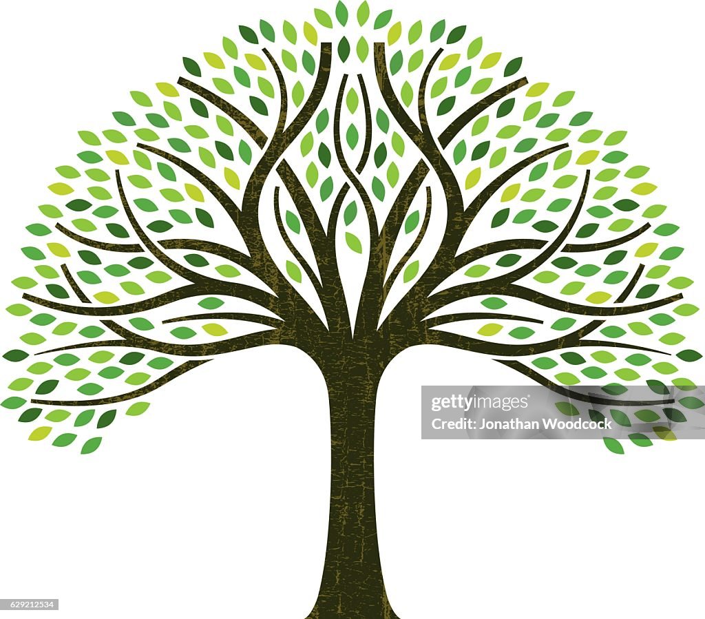 Curver Tree Little Curved Tree Illustration High-Res Vector Graphic - Getty Images