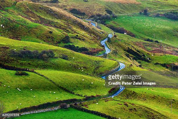 winding road in the irish landscape - giant's causeway imagens e fotografias de stock