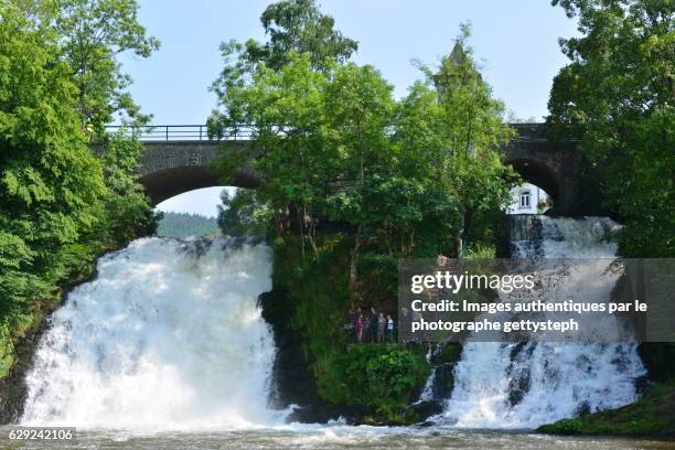 the coo cascades in summer - ardennes stock pictures, royalty-free photos & images