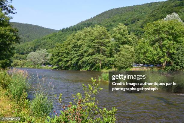 the wild vegetation of emblève valley - ardennes stock pictures, royalty-free photos & images