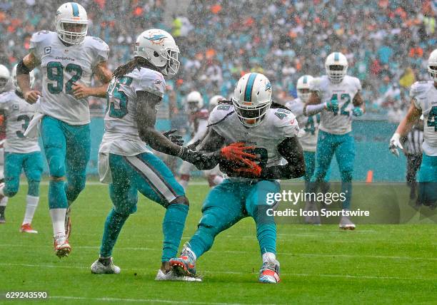 Dolphins tight end MarQueis Gray downs a punt during an NFL football game between the Arizona Cardinals and the Miami Dolphins on December 11, 2016...