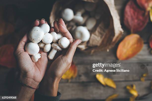 woman holding a mushroom - champignon stockfoto's en -beelden