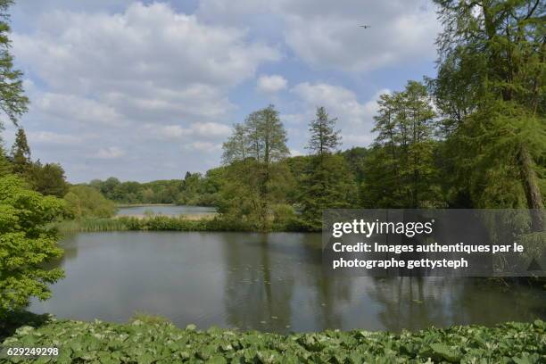 the pond between "etang du moulin et etang de la longue queue - grand etang lake stock pictures, royalty-free photos & images