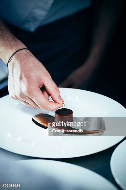 シェフのパッティング練習用グリーンリーフにチョコレートデザート - 料理の付け合わせ ストックフォトと画像