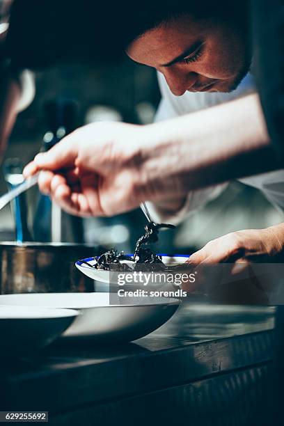 chef working in a commercial kitchen - dining experience stock pictures, royalty-free photos & images