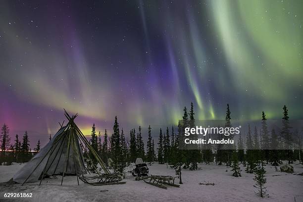 Northern Lights seen near the town of Salekhard, Yamalo-Nenets Autonomous Okrug, Russia on April 08, 2016.
