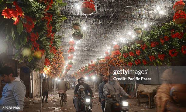 Pakistan Rabil Rajpar 1,800 Rabil Stock Photos, High-Res Pictures, and Images - Getty Images