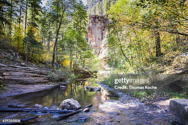 crossing the creek - oak creek canyon fotografías e imágenes de stock