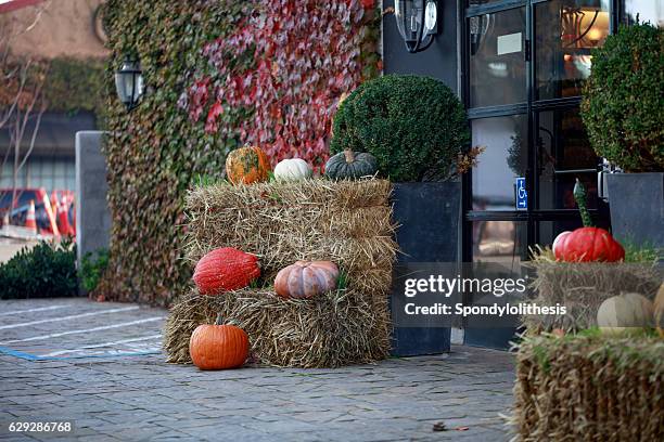 yao family wines at st. helena downtown in napa valley - st helena ethnicity stock pictures, royalty-free photos & images