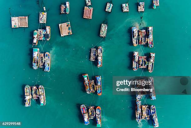 Bloomberg Best of the Year 2016: Fishermen separate anchovies from a net on a barge moored between two fishing boats in this aerial photograph above...