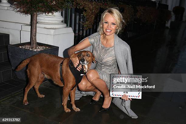 Pamela Anderson delivers a petition to The High Commission Of Mauritius on December 12, 2016 in London, England.