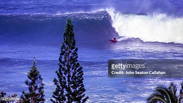 winter surfing at sunset beach - sunset beach stockfoto's en -beelden