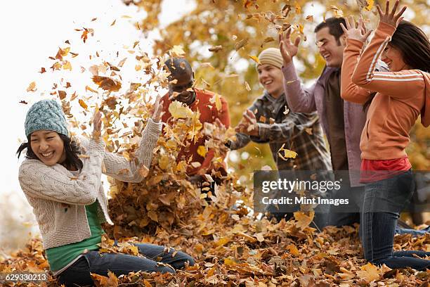 a group of men and women throwing fallen autumn leaves in the air - mint leaves stock-fotos und bilder