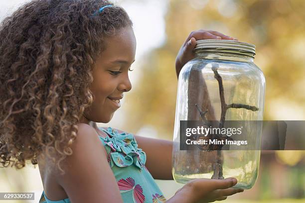 a girl holding a glass jar with a butterfly inside it. - specimen holder stock pictures, royalty-free photos & images