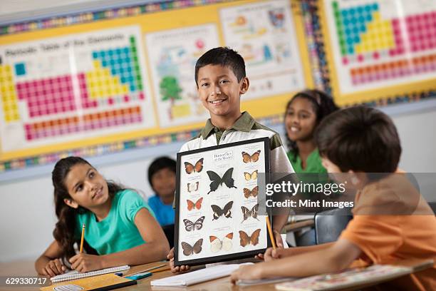 a boy standing in front of classmates, holding up a frame with butterfly specimens.  - boy in briefs stock pictures, royalty-free photos & images