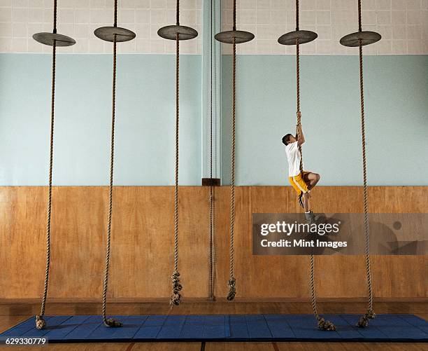 a child climbing up a rope in a school gym. - 爬山繩 個照片及圖片檔