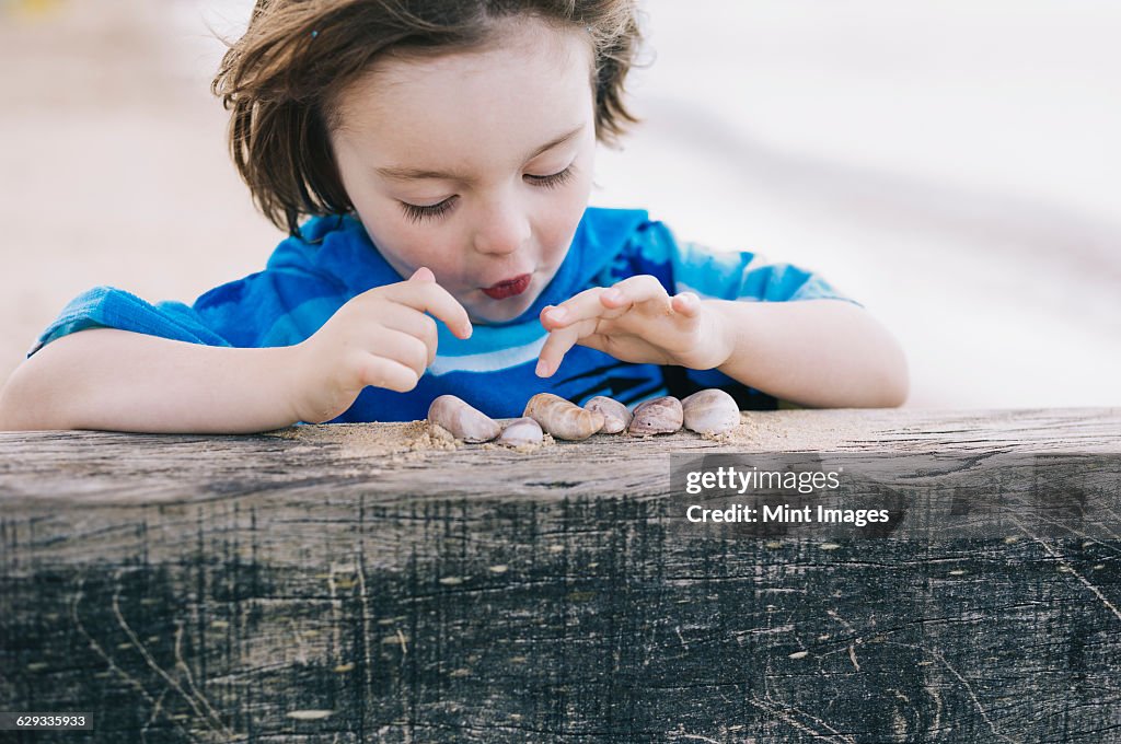 A boy at the beach counting shells lined up on a breakwater.