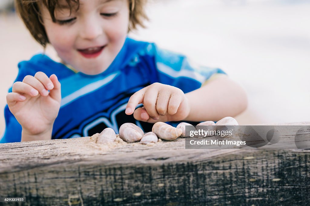 A boy at the beach counting shells lined up on a breakwater.