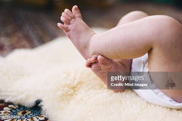 a baby lying on a sheepskin rug, kicking her legs.  - baby kicking stock pictures, royalty-free photos & images