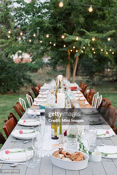 long table set with plates and glasses, food and drink in a garden. - long table stockfoto's en -beelden