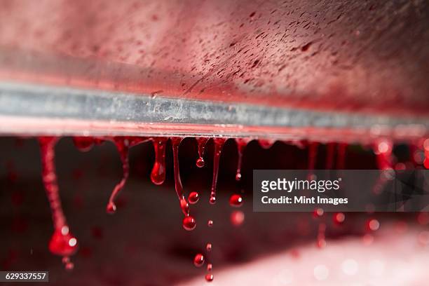 the interior of a grape press with droplets of fresh pressed juice dripping from a roller. - wine making stock pictures, royalty-free photos & images