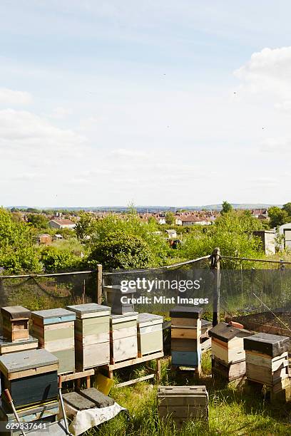 a collection of beehives in the corner of an allotment in a city. - corner city foto e immagini stock