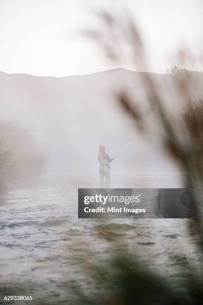 a woman fisherman fly fishing, standing in waders in thigh deep water.  - woman fisherman stock pictures, royalty-free photos & images