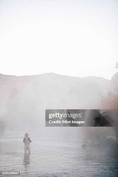 a woman fisherman fly fishing, standing in waders in thigh deep water.  - woman fisherman stock pictures, royalty-free photos & images