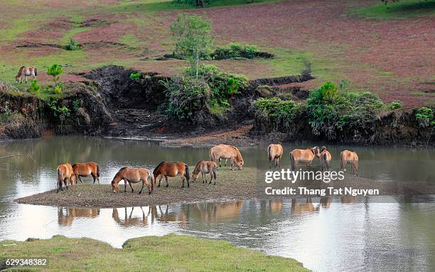 40 Pará Falls Stock Photos, High-Res Pictures, and Images - Getty Images